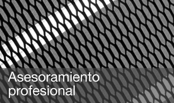 Asesoramiento profesional