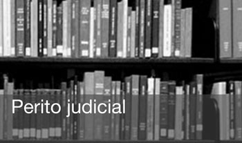 Perito judicial