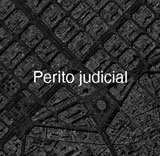 Perito judicial