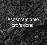 Asesoramiento profesional