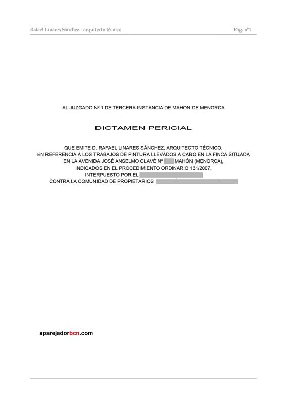 Dictamen Pericial Mahón
